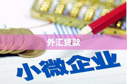 桥东外汇贷款