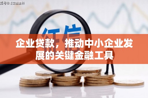 桥东企业贷款，推动中小企业发展的关键金融工具