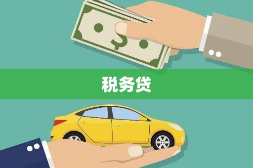 桥东税务贷