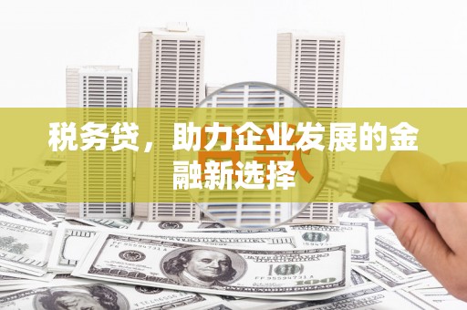 桥东税务贷，助力企业发展的金融新选择