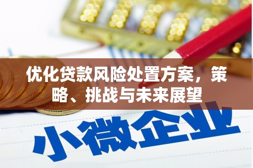 桥东优化贷款风险处置方案，策略、挑战与未来展望
