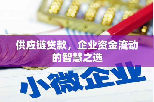桥东供应链贷款，企业资金流动的智慧之选