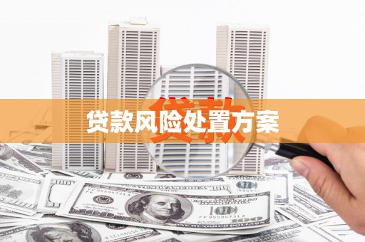 桥东贷款风险处置方案