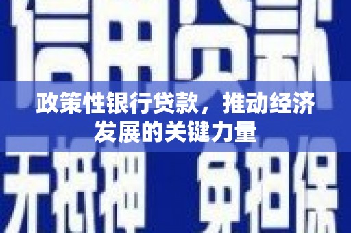 桥东政策性银行贷款，推动经济发展的关键力量