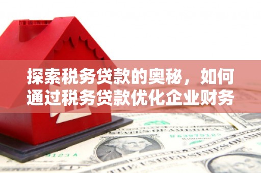 桥东探索税务贷款的奥秘，如何通过税务贷款优化企业财务