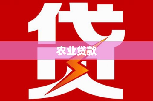桥东农业贷款