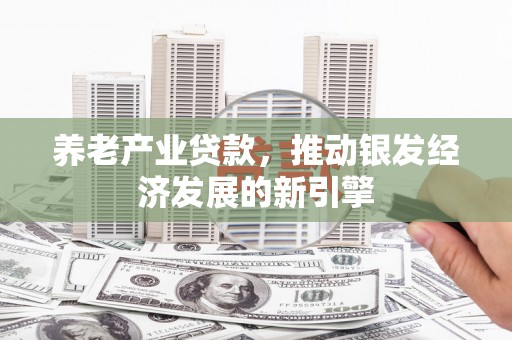 桥东养老产业贷款，推动银发经济发展的新引擎