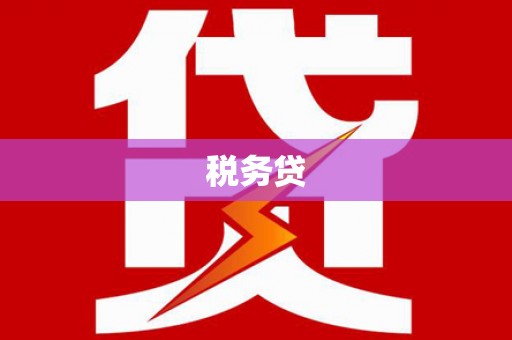 桥东税务贷