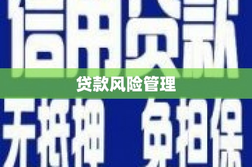桥东贷款风险管理