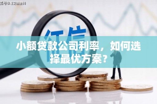 桥东小额贷款公司利率，如何选择最优方案？