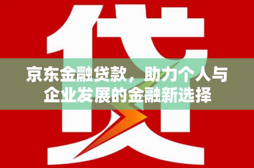 桥东京东金融贷款，助力个人与企业发展的金融新选择