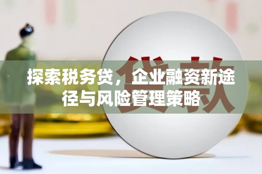 桥东探索税务贷，企业融资新途径与风险管理策略