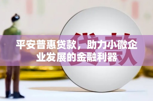 桥东平安普惠贷款，助力小微企业发展的金融利器