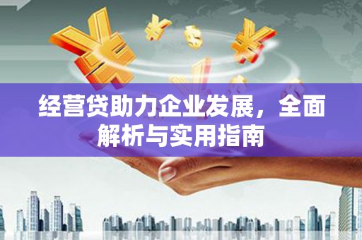 桥东经营贷助力企业发展，全面解析与实用指南