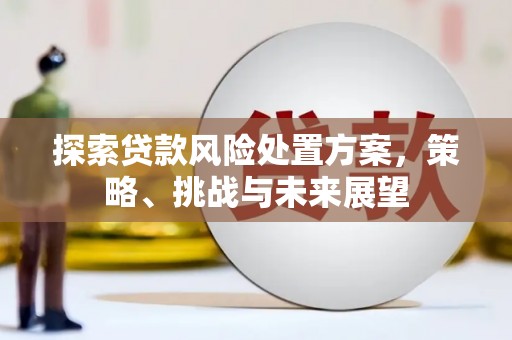 桥东探索贷款风险处置方案，策略、挑战与未来展望