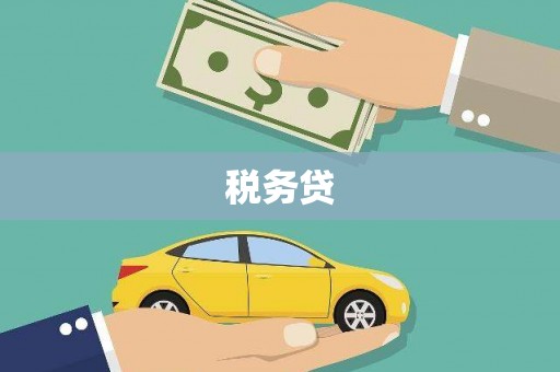 桥东税务贷