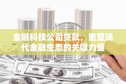 桥东金融科技公司贷款，重塑现代金融生态的关键力量