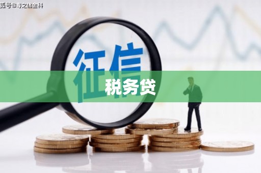 桥东税务贷