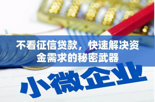 桥东不看征信贷款，快速解决资金需求的秘密武器