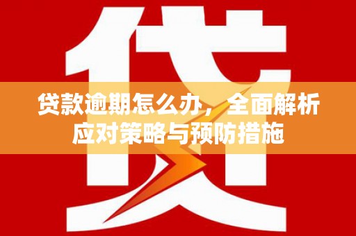 桥东贷款逾期怎么办，全面解析应对策略与预防措施