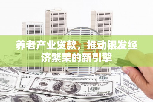 桥东养老产业贷款，推动银发经济繁荣的新引擎