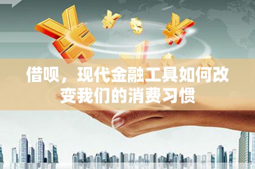 桥东借呗，现代金融工具如何改变我们的消费习惯
