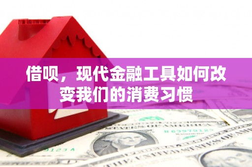 桥东借呗，现代金融工具如何改变我们的消费习惯
