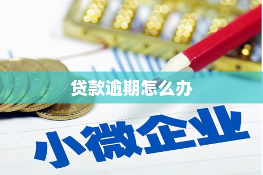 桥东贷款逾期怎么办