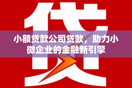 桥东小额贷款公司贷款，助力小微企业的金融新引擎