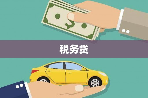 桥东税务贷