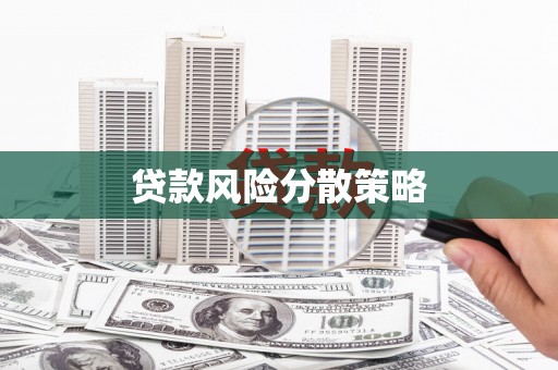 桥东贷款风险分散策略