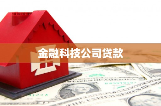 桥东金融科技公司贷款