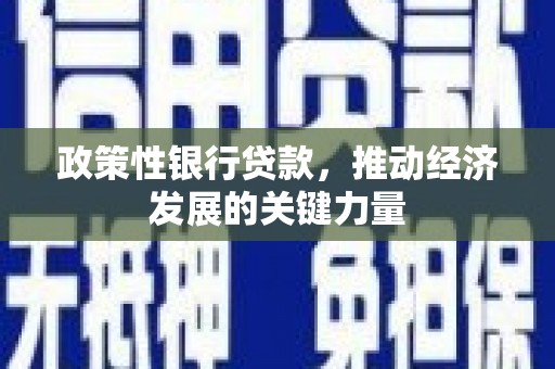 桥东政策性银行贷款，推动经济发展的关键力量