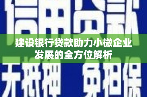 桥东建设银行贷款助力小微企业发展的全方位解析