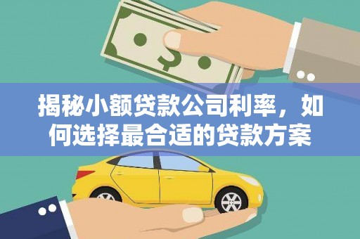 桥东揭秘小额贷款公司利率，如何选择最合适的贷款方案