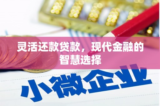桥东灵活还款贷款，现代金融的智慧选择