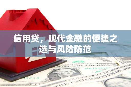 桥东信用贷，现代金融的便捷之选与风险防范