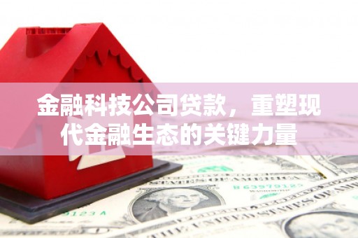 桥东金融科技公司贷款，重塑现代金融生态的关键力量