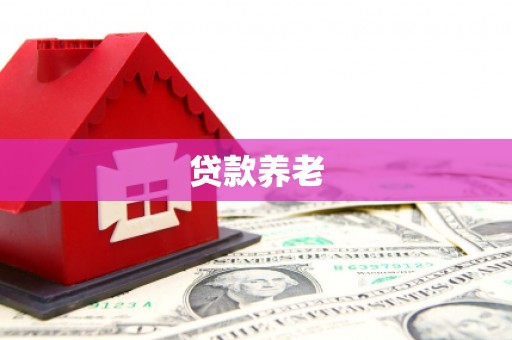 桥东贷款养老