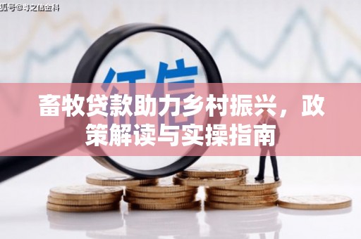 桥东畜牧贷款助力乡村振兴，政策解读与实操指南