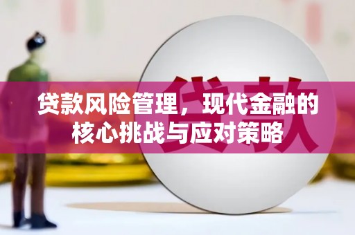 桥东贷款风险管理，现代金融的核心挑战与应对策略