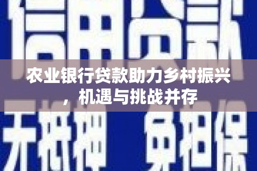 桥东农业银行贷款助力乡村振兴，机遇与挑战并存