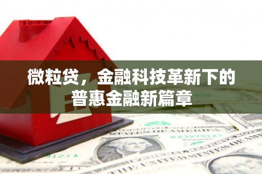 桥东微粒贷，金融科技革新下的普惠金融新篇章