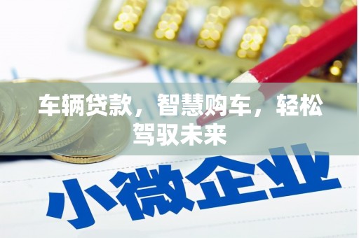 桥东车辆贷款，智慧购车，轻松驾驭未来