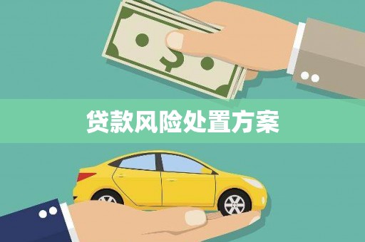 桥东贷款风险处置方案