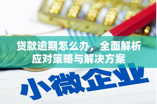 桥东贷款逾期怎么办，全面解析应对策略与解决方案