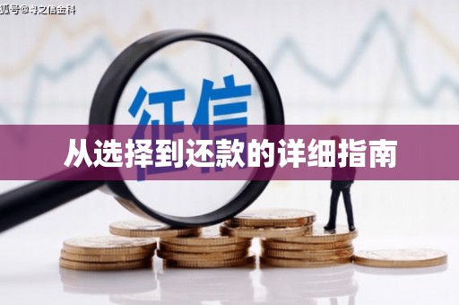 桥东从选择到还款的详细指南