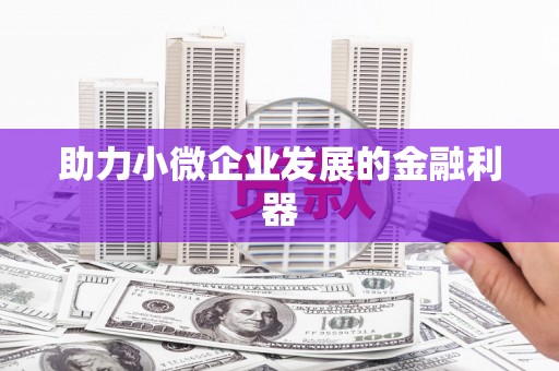 桥东助力小微企业发展的金融利器