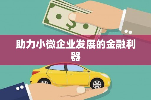 桥东助力小微企业发展的金融利器